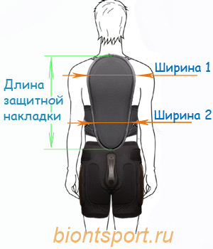советы по выбору защиты спины